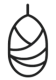 logo-chrysalide noir